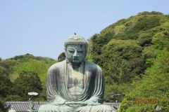 daibutsu_0869