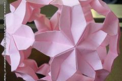 sakura0695
