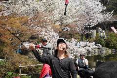 sakura10052
