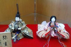 doll05435