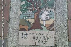 iwatsuki_road05356