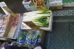 shop04917