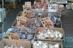 shop04918
