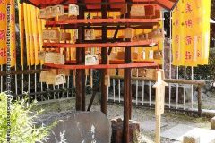 temple10061