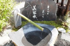 temple10062