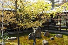 temple10081