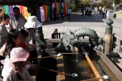 temple10227