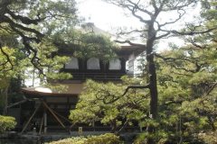 temple10280