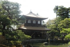 temple10281