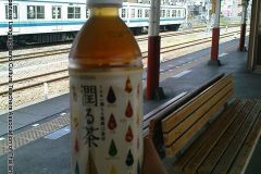 food_05240