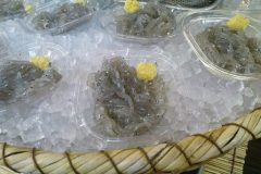 food_05567