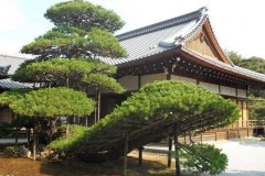 kinkakuji10312