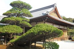 kinkakuji10313