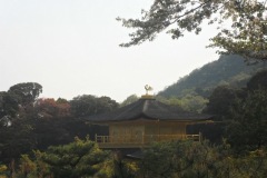 kinkakuji10316