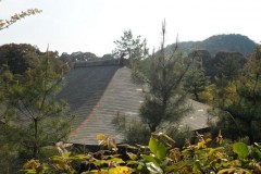 kinkakuji10317