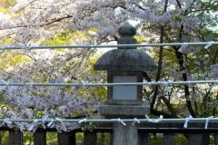 kiyomizudera10232