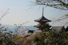 kiyomizudera10241