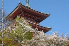 kiyomizudera10248
