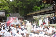 matsuri10398l