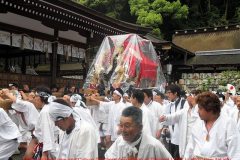 matsuri10411l