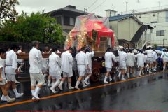 matsuri10431l