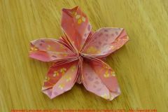 origami_24
